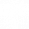pajaro